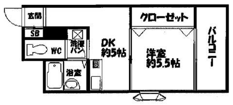平面図