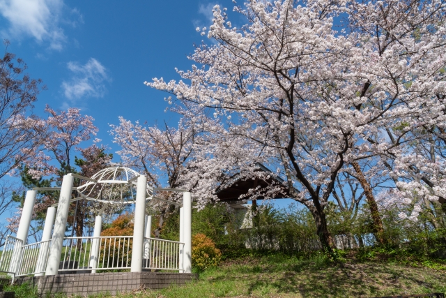 大人数対応のBBQ完備、電車アクセス抜群【花博記念公園 鶴見緑地（大阪市鶴見区）】