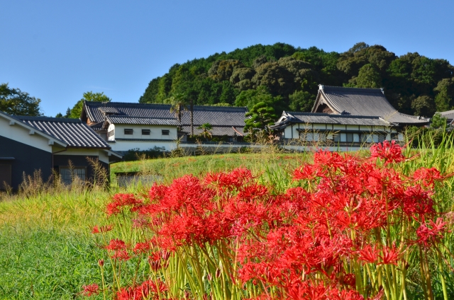 秋分の日は彼岸花と秋の味覚｜連休後半の関西おでかけ