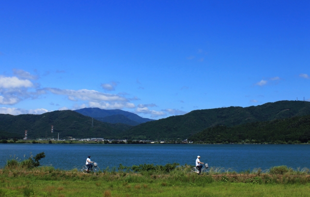 関西の隠れた花の宝庫、滋賀の余呉湖で紫陽花を楽しむ