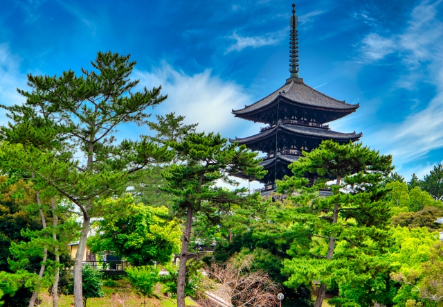 奈良の世界遺産を満喫する一日旅！春日大社から平城宮跡まで