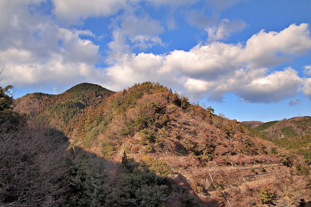 大阪府・箕面山の紅葉と雲海のコラボレーション