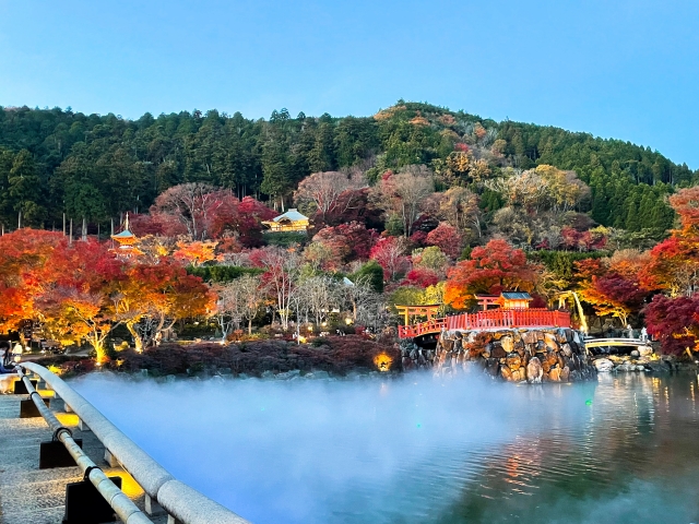 大阪で紅葉を楽しむ！絶景紅葉スポット6選