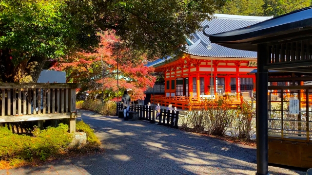 ライトアップで幻想的な紅葉が見所「勝尾寺」