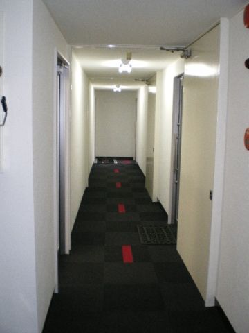 5,6階 廊下共用