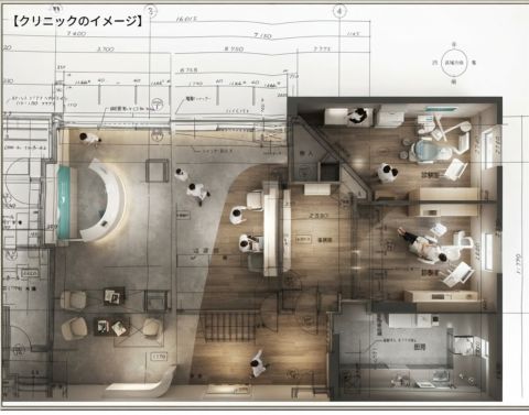 平面図