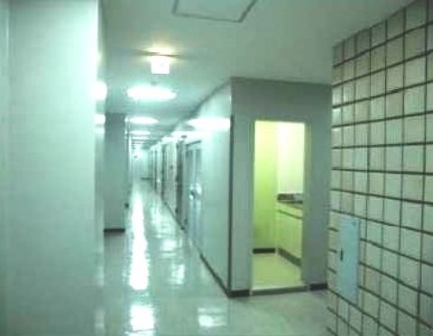 各階、廊下